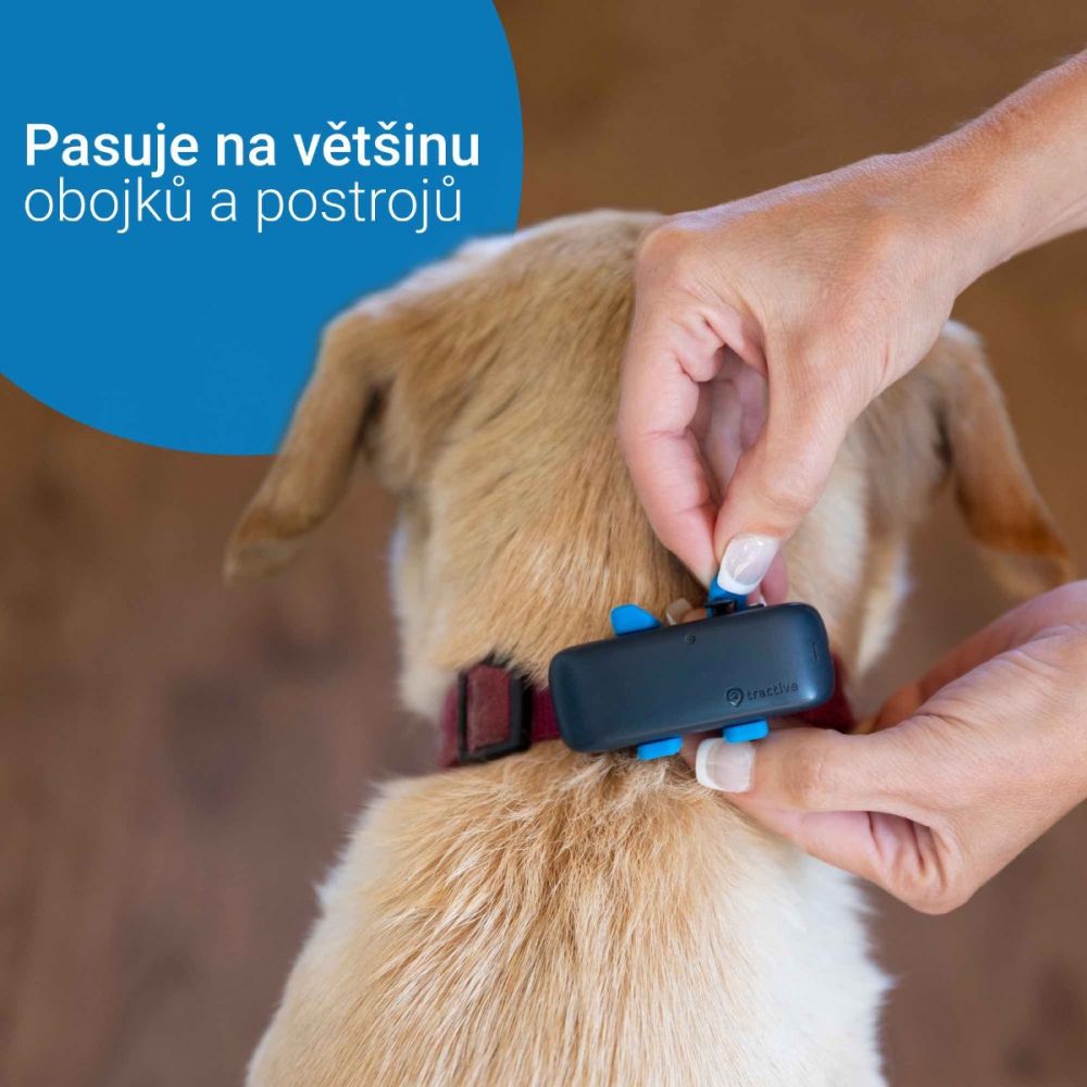par Gør livet lejlighed Tractive GPS DOG 4 - Dog GPS Tracker and Activity Monitor